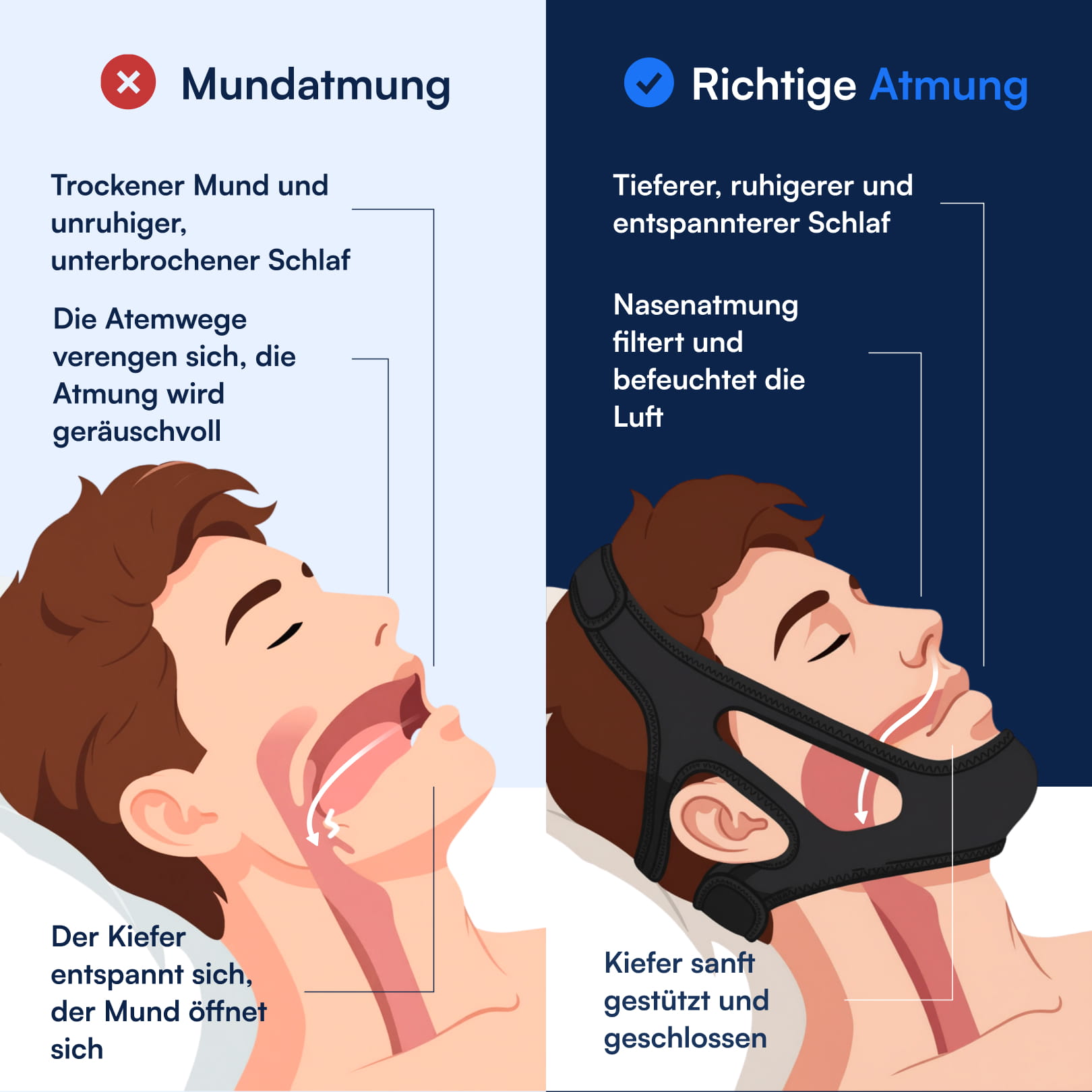 Links: Mundatmung mit offenem Mund und verengter Atembahn. Rechts: Nasenatmung mit Kinnriemen, Kiefer gestützt.
